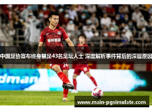 中国足协宣布终身禁足43名足坛人士 深度解析事件背后的深层原因